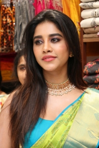 Actress Nabha Natesh