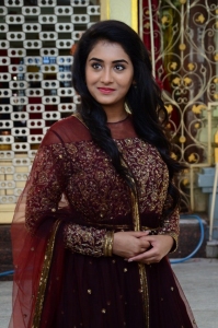Actress-Rashi-Singh-Photos-11