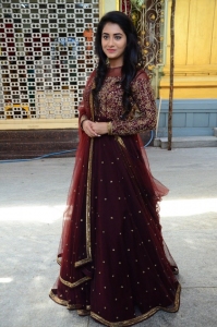 Actress-Rashi-Singh-Photos-6