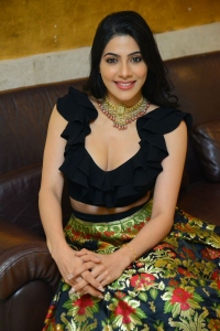 Actress Nikki Tamboli Hot Photos