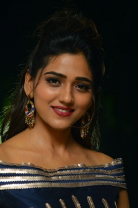 Actress-Shalu-Chourasiya-1